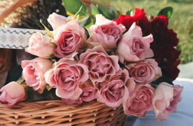 Consejos fundamentales para fotografiar flores